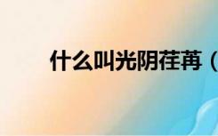 什么叫光阴荏苒（光阴荏苒的意思）