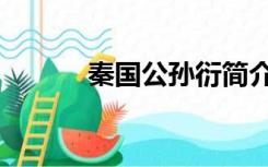 秦国公孙衍简介（公孙衍简介）