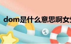 dom是什么意思啊女生（dom是什么意思）
