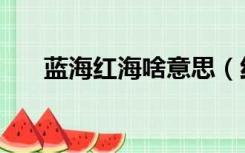 蓝海红海啥意思（红海蓝海什么意思）