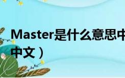 Master是什么意思中文（master是什么意思中文）