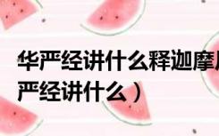 华严经讲什么释迦摩尼佛曾经历经多少劫（华严经讲什么）