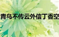 青鸟不传云外信丁香空结雨中愁的意思和情感