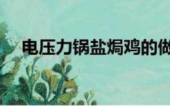 电压力锅盐焗鸡的做法（盐焗鸡的做法）