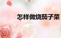 怎样做烧茄子菜（怎样做烧茄子）