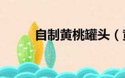 自制黄桃罐头（黄桃罐头怎么做）