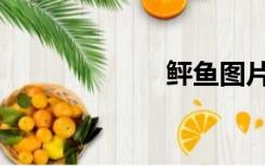 鲆鱼图片（鲆鱼）