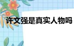 许文强是真实人物吗（许文强的原型是谁）