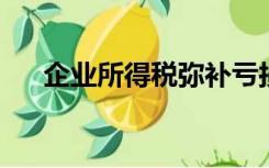 企业所得税弥补亏损明细表填写利润吗