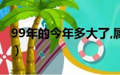 99年的今年多大了,属兔的（99年的今年多大）