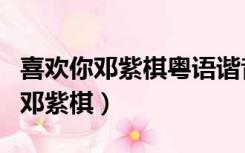 喜欢你邓紫棋粤语谐音歌词（喜欢你谐音歌词邓紫棋）