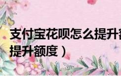 支付宝花呗怎么提升额度快（支付宝花呗怎么提升额度）