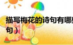 描写梅花的诗句有哪些四年级（描写梅花的诗句）