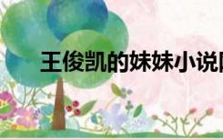 王俊凯的妹妹小说网（王俊凯的妹妹）