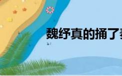 魏纾真的捅了秦王吗（魏纾）