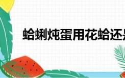 蛤蜊炖蛋用花蛤还是文蛤（蛤蜊炖蛋）