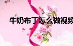 牛奶布丁怎么做视频（牛奶布丁怎么做）