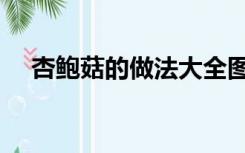 杏鲍菇的做法大全图片（杏鲍菇的做法）