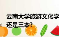云南大学旅游文化学院是几本?是一本、二本还是三本?