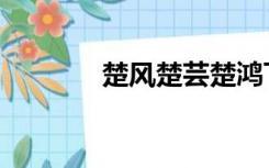楚风楚芸楚鸿飞（楚风苏柔）