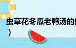 虫草花冬瓜老鸭汤的做法（冬瓜老鸭汤的做法）