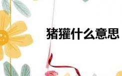 猪獾什么意思（獾猪的意思）