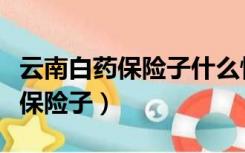 云南白药保险子什么情况下可以吃（云南白药保险子）