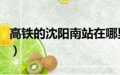 高铁的沈阳南站在哪里（高铁的沈阳南站在哪）