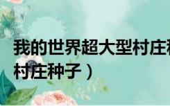 我的世界超大型村庄种子码（我的世界超大型村庄种子）