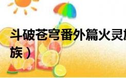 斗破苍穹番外篇火灵族（斗破苍穹后续之火灵族）