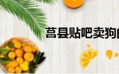 莒县贴吧卖狗的（莒县贴吧）