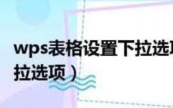 wps表格设置下拉选项筛选（wps表格设置下拉选项）