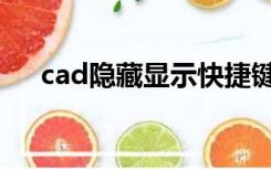 cad隐藏显示快捷键（cad隐藏快捷键）