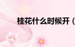 桂花什么时候开（桃花什么时候开）