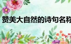 赞美大自然的诗句名称（赞美大自然的诗句）