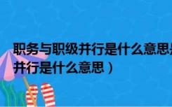 职务与职级并行是什么意思是两条线分头走吗（职务与职级并行是什么意思）