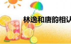 林逸和唐韵相认（林逸和唐韵）
