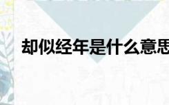 却似经年是什么意思（经年是什么意思）