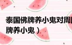 泰国佛牌养小鬼对周围的人有影响吗（泰国佛牌养小鬼）