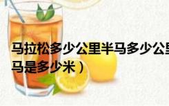 马拉松多少公里半马多少公里（半马拉松跑全程是多少米 小马是多少米）