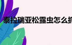 泰拉瑞亚松露虫怎么抓 松露虫农场建造方法