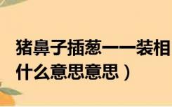 猪鼻子插葱一一装相(象)（猪鼻子插葱装象是什么意思意思）