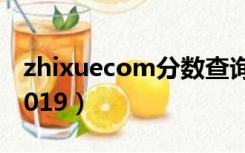 zhixuecom分数查询（zhixue com查分数2019）