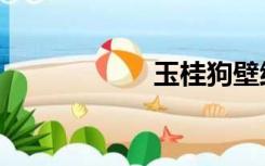 玉桂狗壁纸（玉桂）