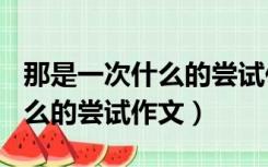 那是一次什么的尝试作文200字（那是一次什么的尝试作文）