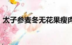 太子参麦冬无花果瘦肉汤功效几岁小孩能喝?