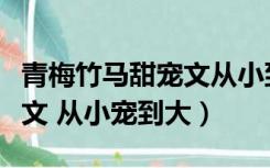 青梅竹马甜宠文从小到大养成（青梅竹马的宠文 从小宠到大）