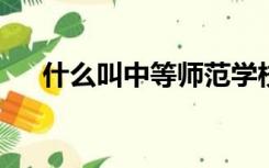 什么叫中等师范学校毕业及其以上学历