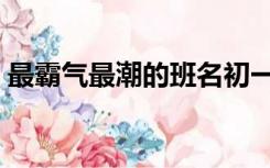 最霸气最潮的班名初一（最霸气最潮的班名）