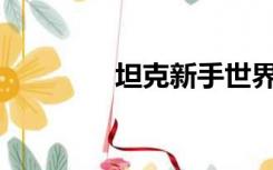 坦克新手世界玩什么部门？